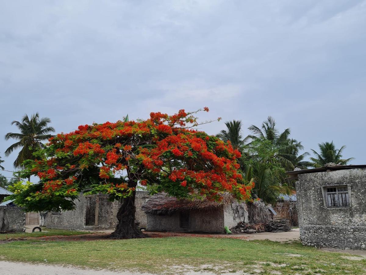 Beachfront Villa Ladha Ya Zanzibar ジャンビアニ エクステリア 写真